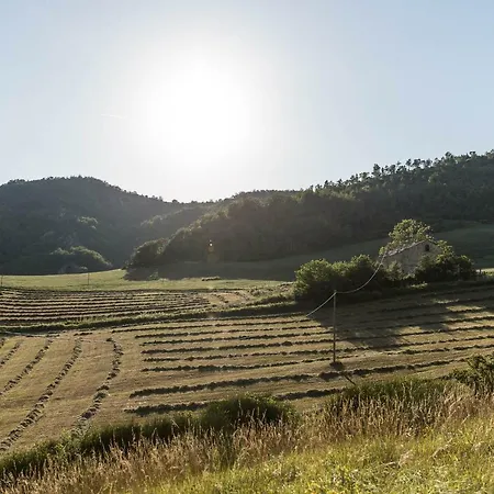 Farm stay L'antico Frutto *